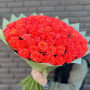 101 коралловая роза фото 3