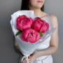 3 коралловых пиона